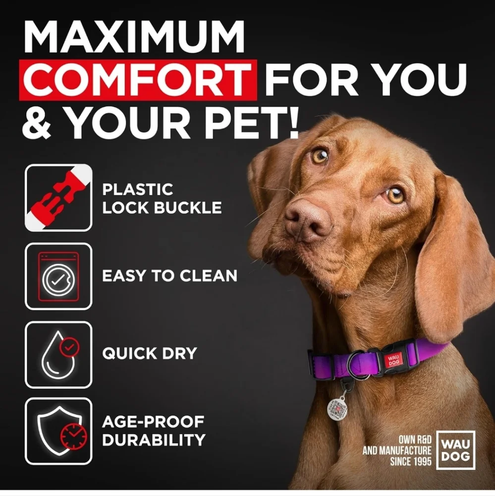 Heart4kids nylon dog
